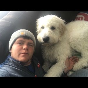 Meet your Posher, Alec